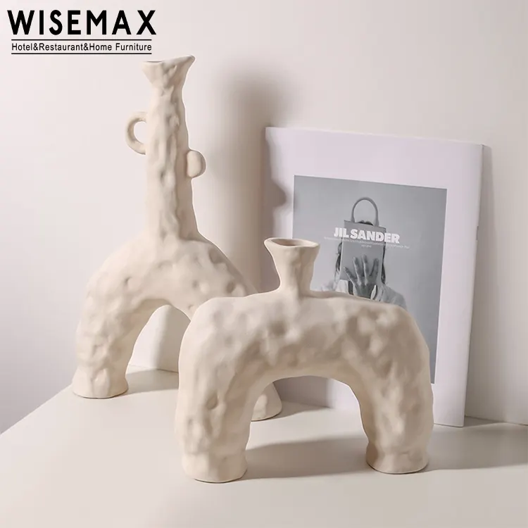 WISEMAX FURNITURE Nordic Special Shapes Flower Vase Craft Home Decoration Irregular Ceramic Art Vase