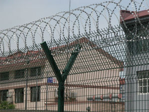 <span class=keywords><strong>Panneau</strong></span> 3D extérieur avec fil barbelé, jardin vert, revêtement en PVC galvanisé, clôture esthétique 3D avec fil barbelé - Product Image 6