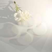 Patchs Hydrocolloïdes Anti-Allergiques Végans Hysent Cosmetics pour le Nez, Réduction des Pores et Élimination des Points Blancs en Nuit, Convient à Tous les Types de Peau