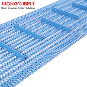 Hongsbelt gıda İşleme plastik modüler konveyör bant modüler kemer konveyör zinciri - Product Image 3