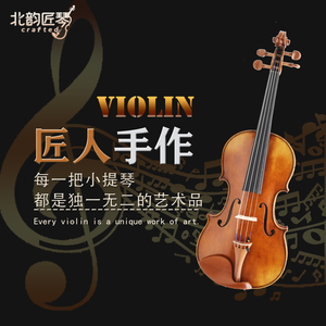 CHENTUO CT4.0 Handmade Student Violin 4/4 Solid Spruce <b>Top</b> Maple Sides Ebony Fingerboard 4-<b>String</b> Case Practice - Product Image 2