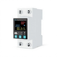 Disjoncteur intelligent ZigBee Tuya avec protection contre les courants résiduels, mesure de consommation, application mobile et programmation, pour usage intérieur