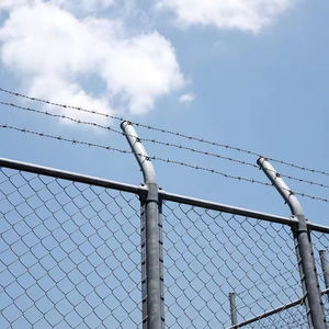 <span class=keywords><strong>Fil</strong></span> de fer direct d'usine galvanisé PVC enduit anti-escalade <span class=keywords><strong>fil</strong></span> de fer barbelé trempé à chaud <span class=keywords><strong>pour</strong></span> prix de clôture - Product Image 3