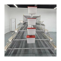La nouvelle conception de bon marché un type poulailler avec la cage galvanisée de poulet de couche de fil à vendre