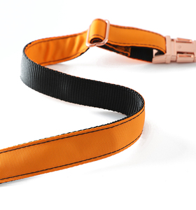 Collares de nailon impermeables para mascotas, accesorios de oro rosa, hebilla de Metal personalizada, conjunto de correa grande, <span class=keywords><strong>Collar</strong></span> de lujo para perros, venta al por mayor - Product Image 6