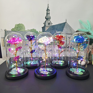 Cadeau pour la Saint-Valentin, la fête des mères, pour femme, épouse, Noël, rose éternelle en plastique, rose éternelle dans un dôme en verre avec lumières LED - Product Image 2