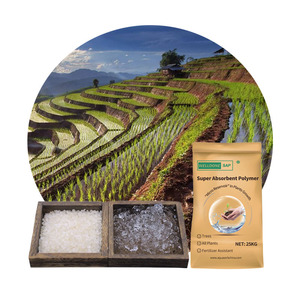WELLDONE Poliacrilato De Potasio agricoltura Sap polimero Super assorbente potassio polacrilato idrogel per piante - Product Image 1