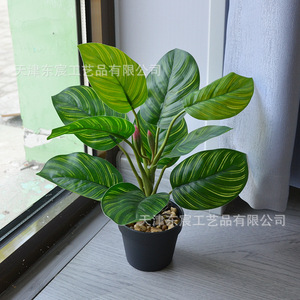 Combinación de bonsáis de suculentas artificiales, mini plantas verdes para decoración del hogar y la oficina, accesorios de plástico para interiores y exteriores, para bodas. - Product Image 4