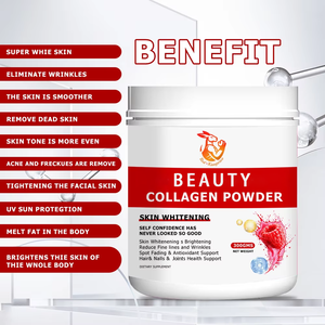 Colágeno en Polvo Personalizado al por Mayor - Grado Alimenticio para Adultos, Servicio OEM/ODM, Antioxidante, Cuidado de la Piel, Belleza, Suplemento Dietético - Product Image 2