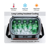 Sac isotherme pliable 17L, imperméable et portable, conception thermique à 3 couches pour pique-nique, plage, voyage, camping et pêche