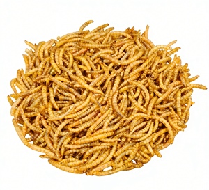 Premium Getrocknete Gelbe Mehlwürmer für Hühner, Vögel, Fische, Schildkröten, Eidechsen, Wellensittiche, Tauben 100% Natürliches Tierfutter - Product Image 1