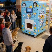 Équipement de toilettage pour animaux de compagnie avec séchage intégré des poils de chien, station de lavage entièrement automatique pour chiens/chats/porcs/lapins