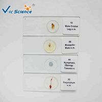 Microscope Slide for Biological Class Biological Microscope Slides Prepared Specimen Slides for Biology Class Teaching