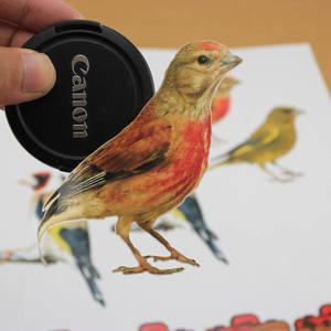 Autocollant slim en vinyle brillant découpé, étiquette personnalisée, avec impression de logo, imperméable, nouvelle collection 2020 - Product Image 6