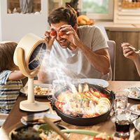 Mini Hotte de Cuisine Portable Sans Fil Rechargeable USB, Extraction 3500PA, Classe d'Efficacité Énergétique, pour Extérieur, Voiture, Hôtel