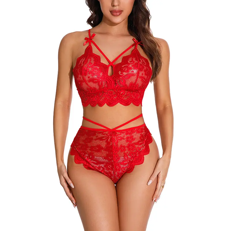 Lingerie erótica sexy renda sutiã, duas peças, traje europeu e americano, pijamas plus size, roupa íntima para mulheres