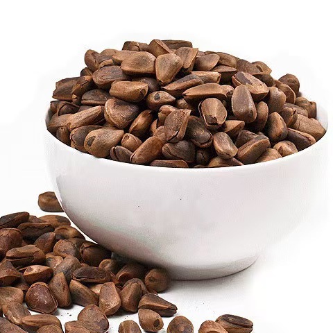Factory Price Korean Pine Nuts Pine Nuts Pakistan