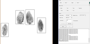 442 Máy quét dấu vân tay FBI cấp giấy chứng nhận sinh trắc học <span class=keywords><strong>USB</strong></span> Mười Máy quét dấu vân tay fap60 thiết bị tham dự với phần mềm miễn phí - Product Image 5