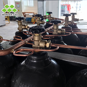 Wonder gas thép không gỉ Xi lanh khí giá <span class=keywords><strong>offshore</strong></span> <span class=keywords><strong>container</strong></span> <span class=keywords><strong>dnv</strong></span> giá - Product Image 6