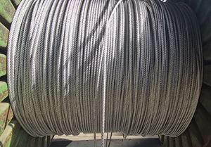 <span class=keywords><strong>Câble</strong></span> en acier inoxydable <span class=keywords><strong>Câble</strong></span> en acier 4mm <span class=keywords><strong>5mm</strong></span> 6mm 8mm 10mm 12mm 14mm 16mm - Product Image 3