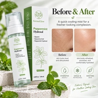 Hydrolat de menthe poivrée fermenté, Glycérine, Acide hyaluronique, Rafraîchissant, Contrôle du sébum, Hydratant, Affinant les pores, Tonique facial en spray