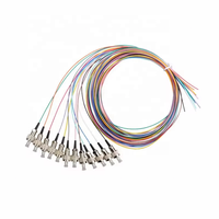 Ftth Solution Fiber Fantastic Fiber Optic Pigtail-12 Core Optical Ribbon Cable, Fc Upc, Sm Mm, Fiber Optic Patch Cord, 1M, 3M,