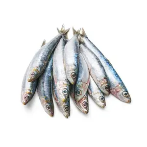 Pesce sardina surgelato sardine pesce prezzo all'ingrosso cina sardine congelato a basso prezzo