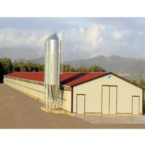 Steel Poultry Farm Shed Design Chicken Breeding House