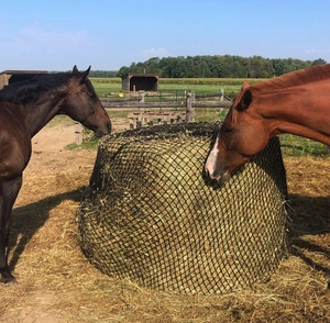 Nylon Polypropyleen Hooinetten Voor Paarden Grote Baal Hooi Paard <span class=keywords><strong>Slow</strong></span> <span class=keywords><strong>Feeder</strong></span> Hooi Netten - Product Image 6