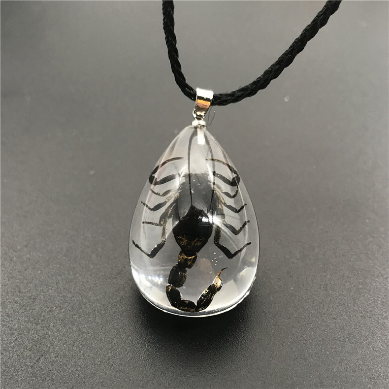C1 escorpión negro