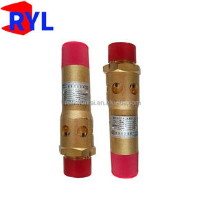 <span class=keywords><strong>Soupape</strong></span> <span class=keywords><strong>de</strong></span> <span class=keywords><strong>sécurité</strong></span> <span class=keywords><strong>de</strong></span> marque RYL, d'origine chinoise, utilisée pour les accessoires Atlas, pièces <span class=keywords><strong>de</strong></span> compresseur industriel 1092065130 1092067100 1092067110 - Product Image 2