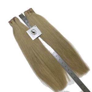 Extensiones de Cabello Humano al por Mayor, Cabello Vietnamita Virgen, Proveedor de Cabello Vietnamita, 12a, Donante Único, Rubio Natural 613, Cabello Virgen - Product Image 1