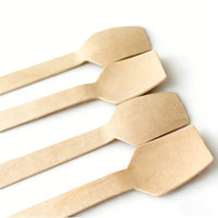 Cuillères à glace jetables en bois écologiques biodégradables en bois de bouleau naturel, petites mini-cuillères pour dégustation de desserts, vaisselle de fête en vrac