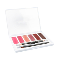 Vente en gros ODM Palette de rouge à lèvres de maquillage végétalien avec logo personnalisé Palette de crème à lèvres avec crayon à lèvres pinceau à lèvres pour la beauté