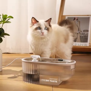 <span class=keywords><strong>Fontaine</strong></span> <span class=keywords><strong>à</strong></span> <span class=keywords><strong>eau</strong></span> semi-automatique pour <span class=keywords><strong>chat</strong></span> avec filtre de circulation et purification, distributeur d'<span class=keywords><strong>eau</strong></span> automatique pour animaux de compagnie, qualité supérieure, vente en gros, personnalisable, <span class=keywords><strong>pas</strong></span> <span class=keywords><strong>cher</strong></span> - Product Image 5