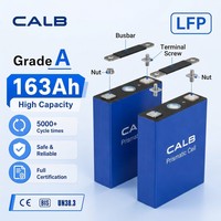 Cellule de batterie LiFePO4 CALB L173F163 3.2V 163Ah Grade A 5000cls 0.2mOhm pour fabricant de tricycles électriques, tuk-tuks et rickshaws