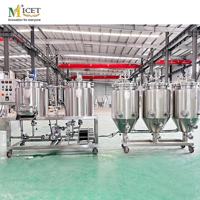 Équipement de brassage domestique MICET 100L, système de bouilloire électrique nano, PLC-CORE, équipement de brassage de bière de 100 litres