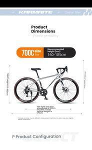 Vélo <span class=keywords><strong>de</strong></span> route WoWei W45, best-seller en Europe et en Amérique, 28 pouces, 14/16 vitesses, cadre en alliage d'aluminium léger, guidon tombant, cadre rigide, guidon dissimulé - Product Image 5