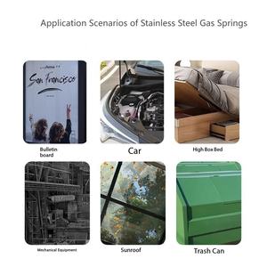 20 Años de Experiencia Directa de Fábrica |   Amortiguadores de Gas de Acero Inoxidable para Diversas Puertas y Cubiertas de Automóviles |   Personalizable - Product Image 5