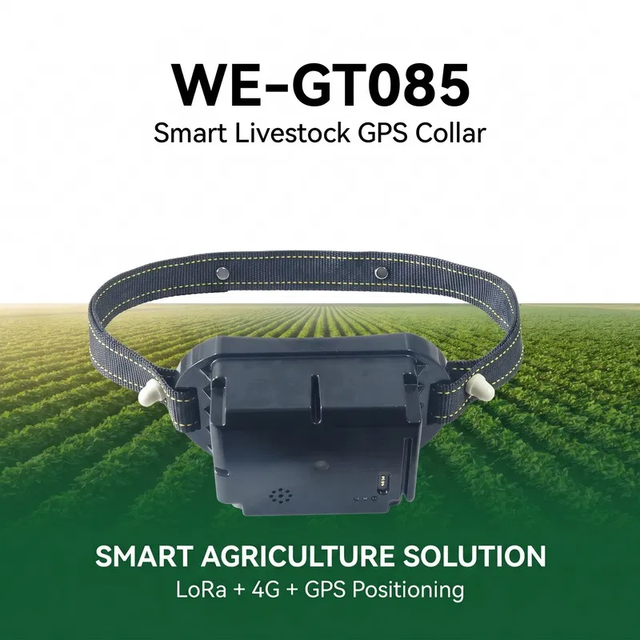 Wholesale LoRa 4G GPS Navigation Plastic Cattle Tracking Collar 20000mAh Solar Powered Livestock Tracker Smart Farm Animal