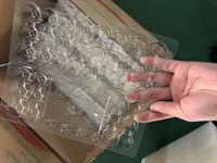 Plateau d'œufs de caille en plastique transparent 24 trous jetable de haute qualité