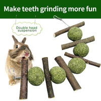 Nourriture pour lapins Timothy Hay Biscuits Lapin Jouet à mâcher Timothy Hay cake TeethToy cobaye Hamster Molaire en bois Collations Bâtonnets friandises
