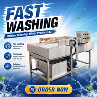 Industriële automatische fruit- en groentewasmachine voor voedselverwerking