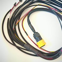 Rangkaian Kabel Harness 12 Pin dan Perakitan Kabel