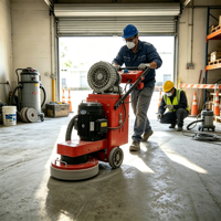 Machine à meuler le béton à grand diamètre de meulage, 220V/380V, pour la rénovation des sols en marbre
