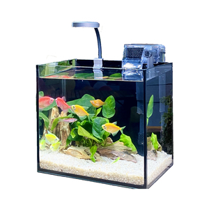 공장 도매 거실용 소형 직사각형 유리 친환경 베타 금붕어 어항 - Product Image 3