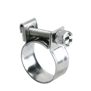china supplier Quick Release 304 Stainless Steel MINI Hose Clamp for drive shaft