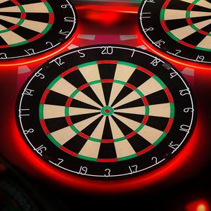 Diana de Dardos Profesional de Venta Directa, Diana de Dardos de Precisión para Entretenimiento - Product Image 1