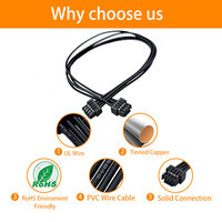Arnés de Cables de Conector Electrónico Automotriz Personalizado, Completamente de Cobre, para Automóviles
