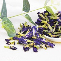 Thé aux fleurs entières de pois papillon de qualité supérieure, couleur naturelle bleue, sans caféine